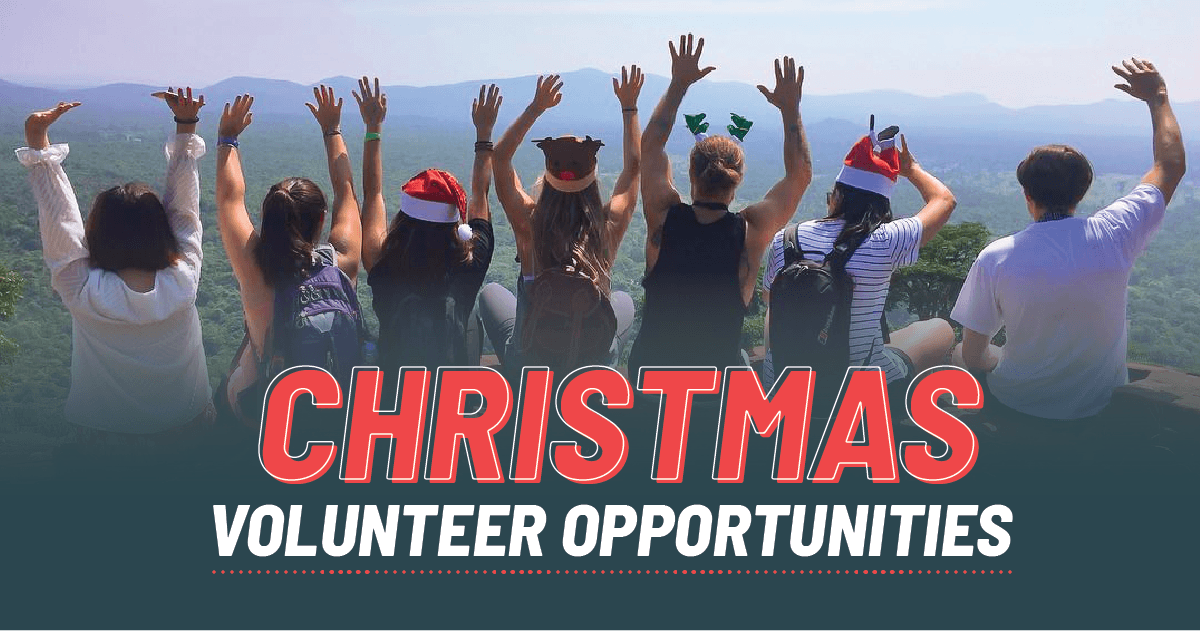 Volunteer Nyc Christmas 2025 Images References :