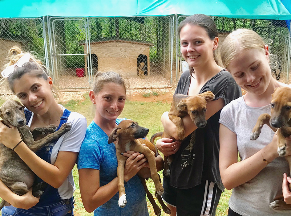 Animal Care Volunteering in St Mary Jamaica IVHQ