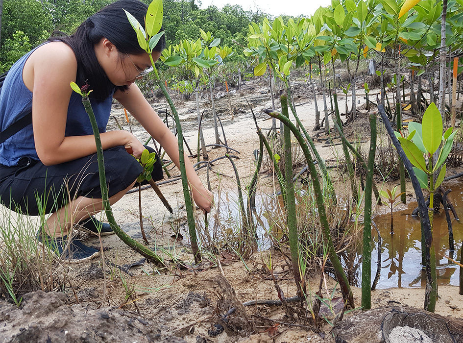Environmental Conservation Volunteering in the Philippines IVHQ
